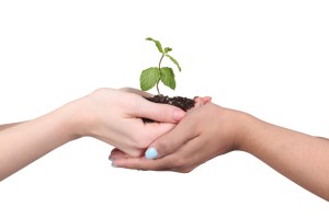 vaishali-patel-psychotherapy