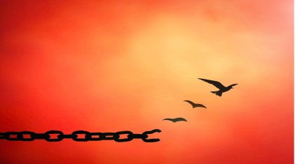 636218183085011754-1819095975_15a25241