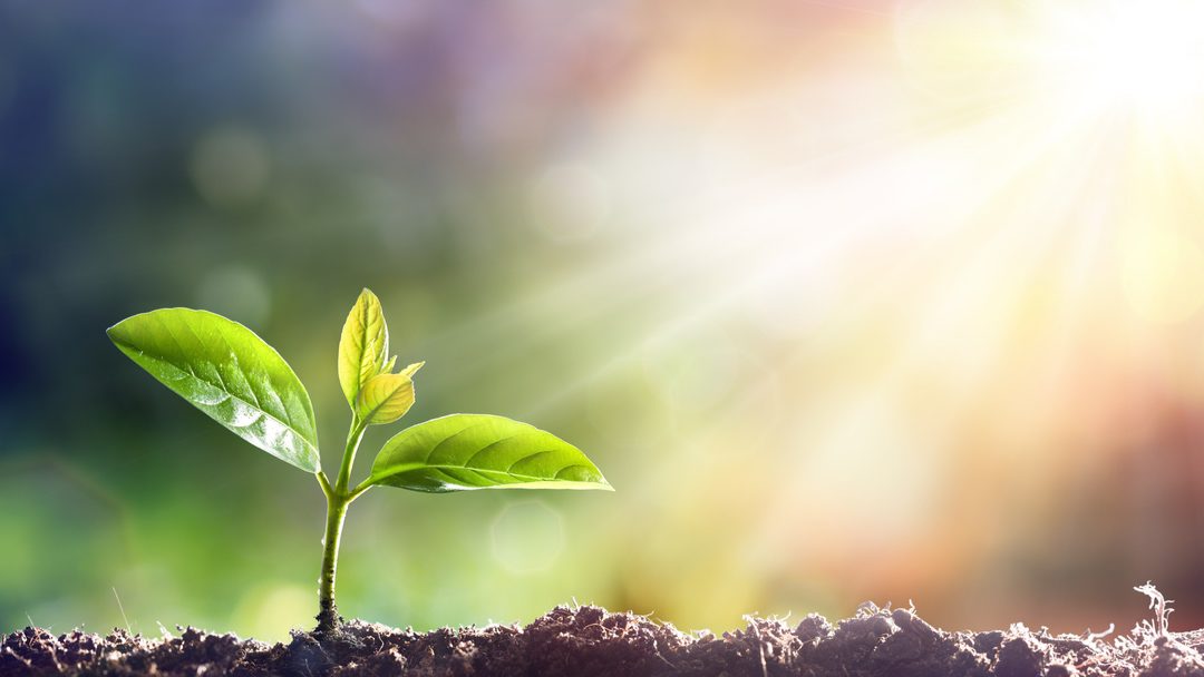 Giving-birth-to-Life-1080x608